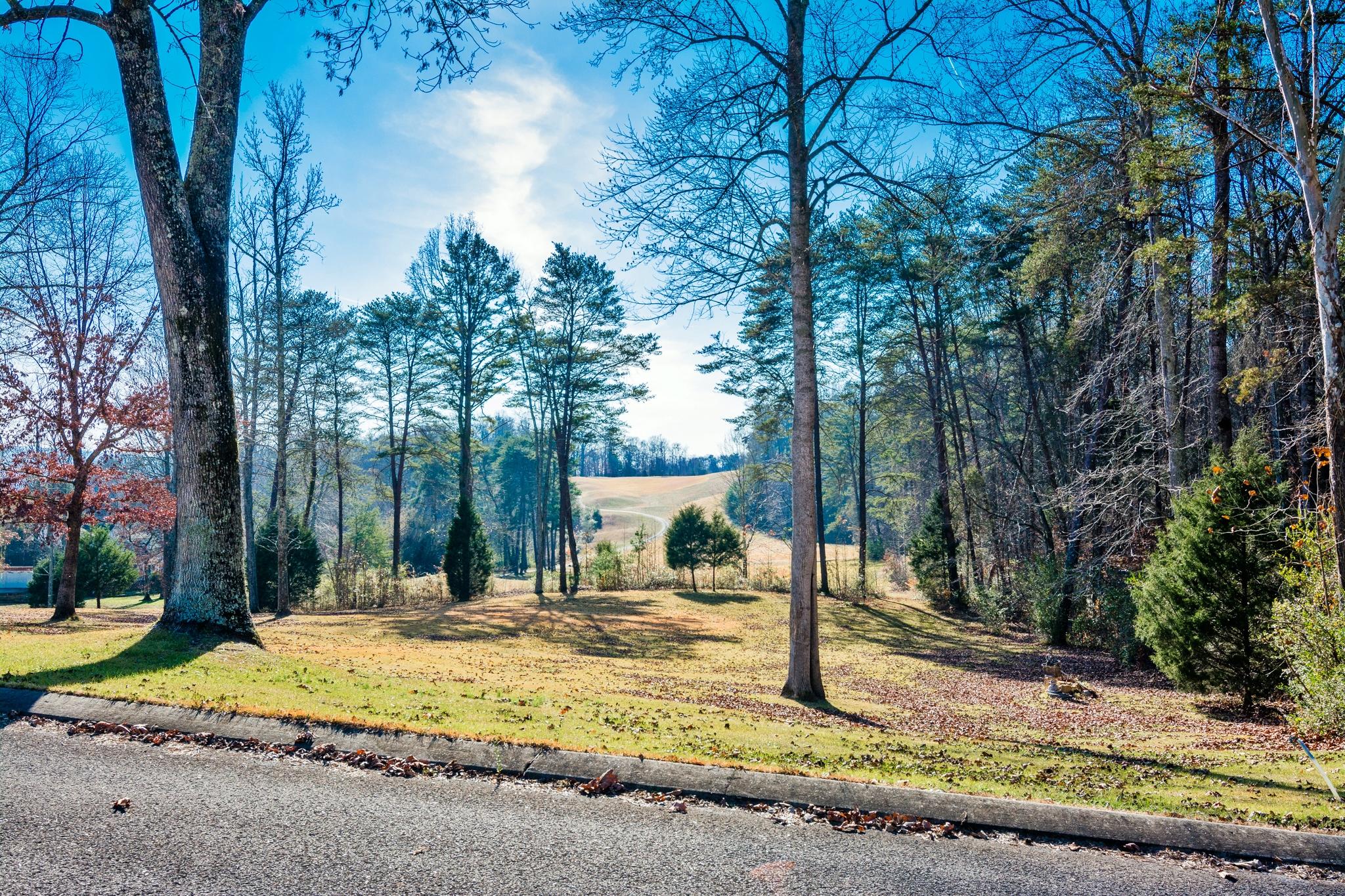 82 West Brow Road Dunlap, TN 37327 - Photo 3 of 53 View from front porch