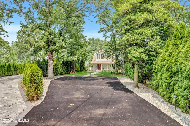 a view of a yard with plants and trees