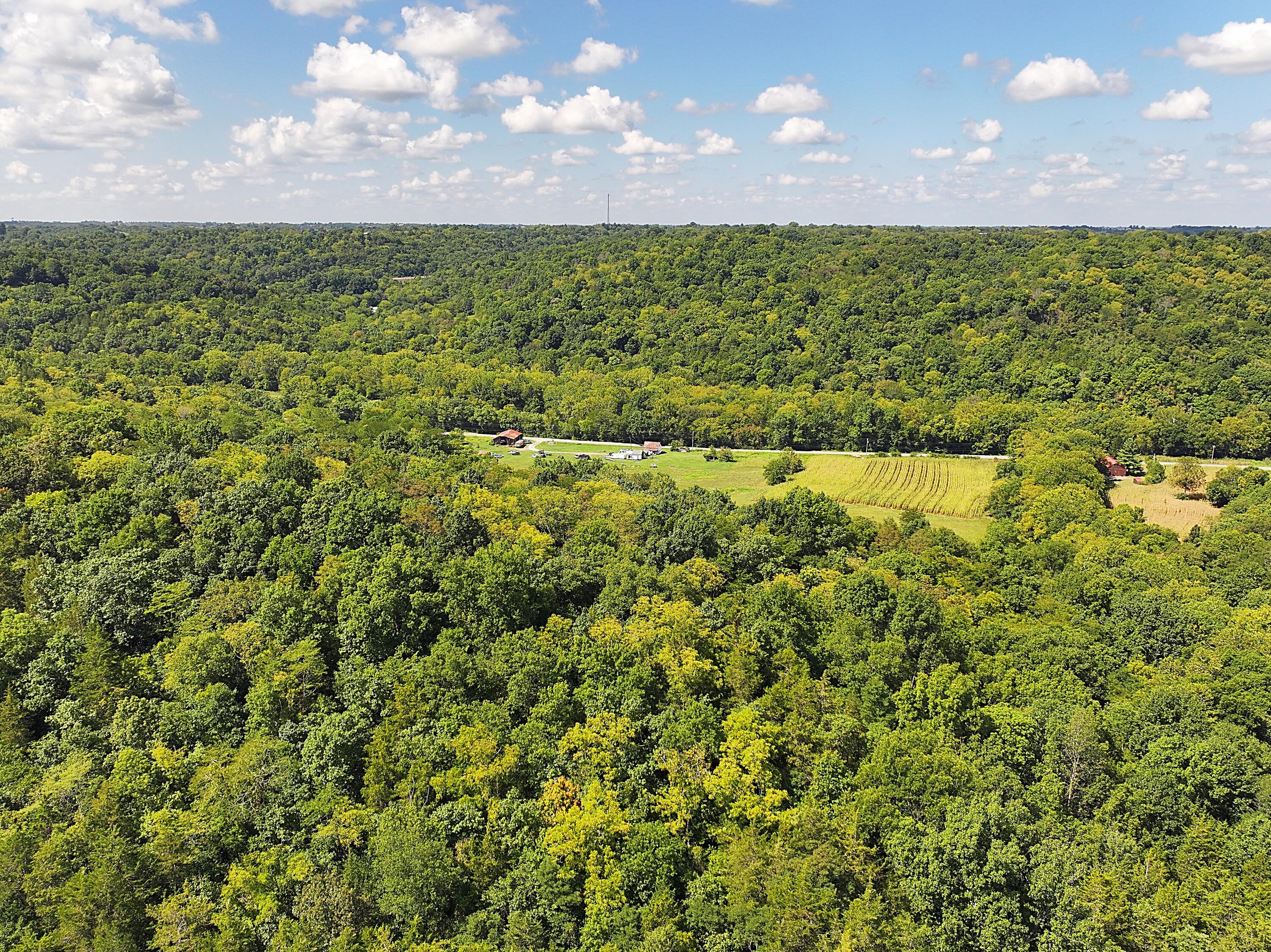 669 Wellsburg Walcott Road Brooksville, KY 41004 - Photo 30 of 42 image00005