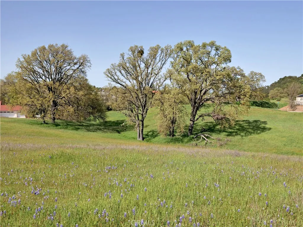 0 Bennett Templeton, CA 93465 - Photo 7 of 10 a view of yard with green space