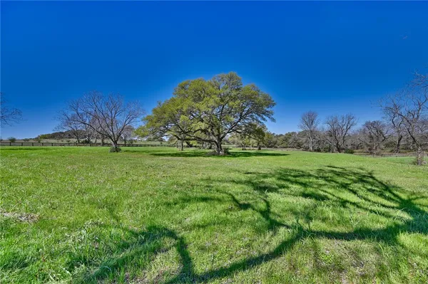 a view of grassy field with trees