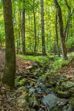 $895,000 | 415 Anatole Lane Northwest, Cleveland, TN 37312