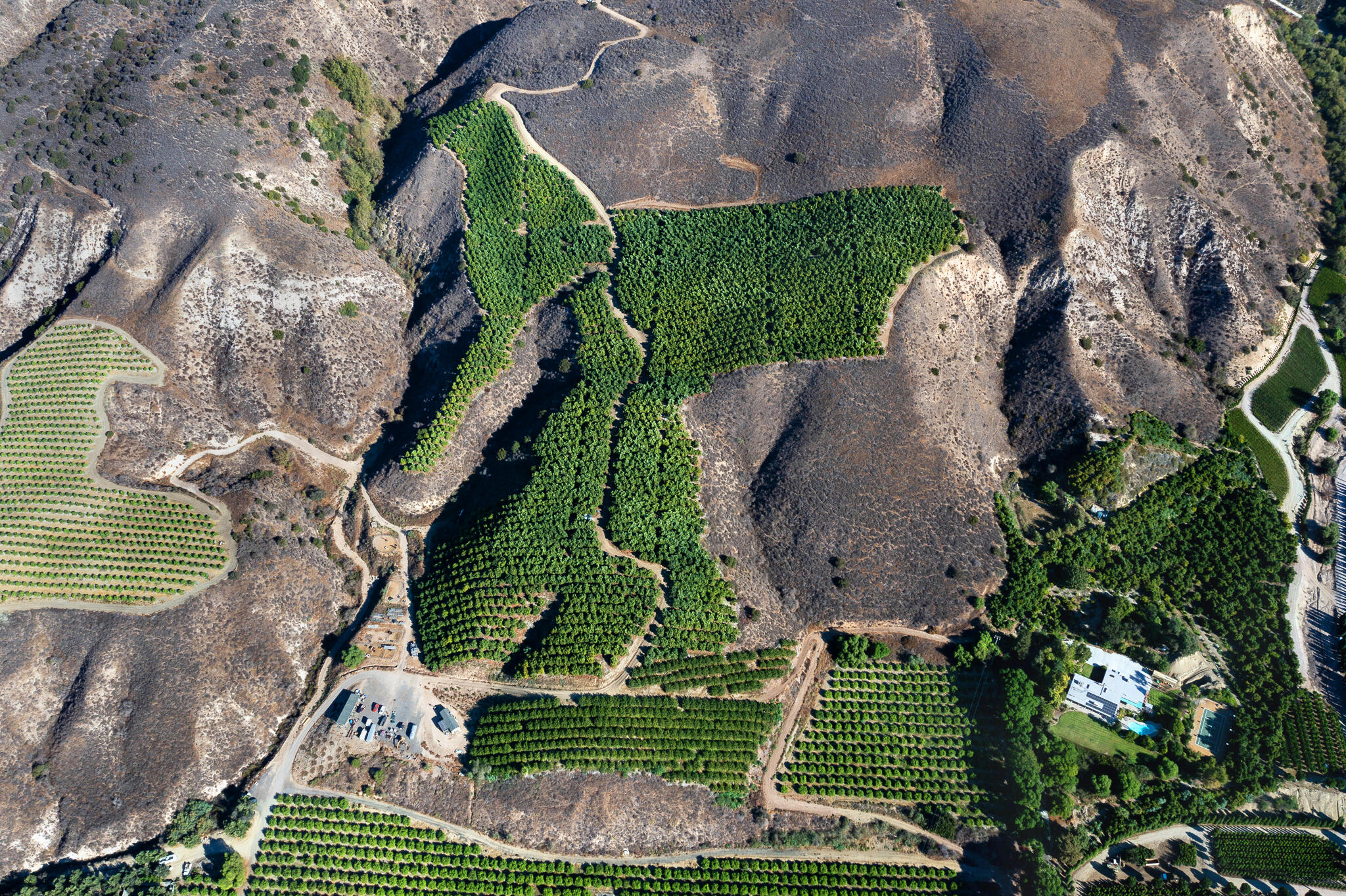 915 East Telegraph Road Fillmore, CA 93015 - Photo 3 of 24 Orchards