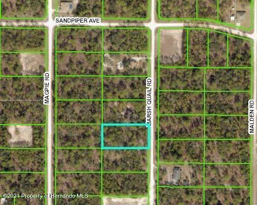 16123 Marsh Quail Road Weeki Wachee, FL 34614 - Photo 1 of 2 Photo 1