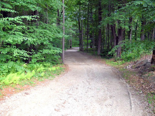 249 Glen Valley Road Petersham, MA 01366 - Photo 8 of 28