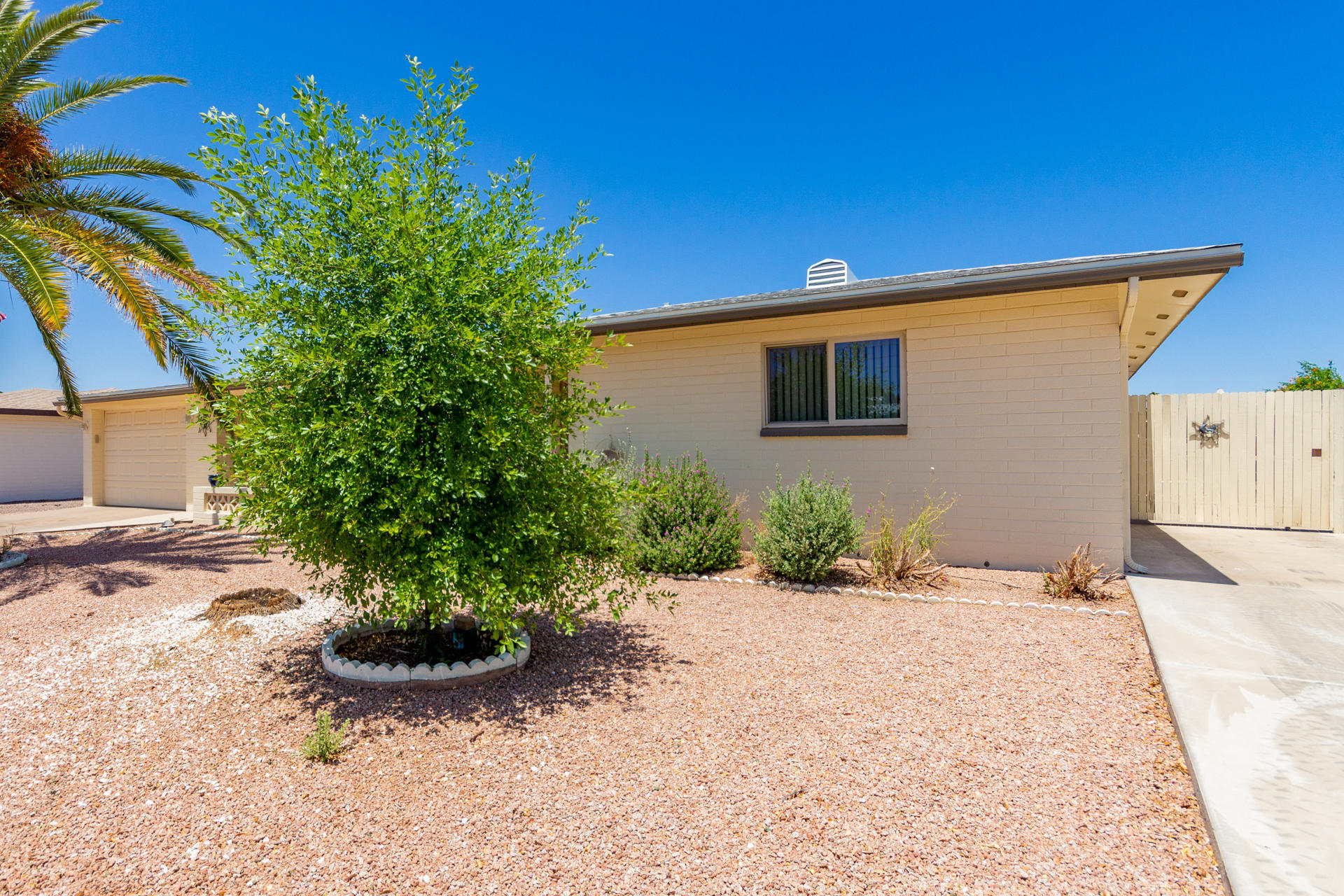 6432 East Decatur Street Mesa, AZ 85205 - Photo 3 of 25 0003-Decatur 3