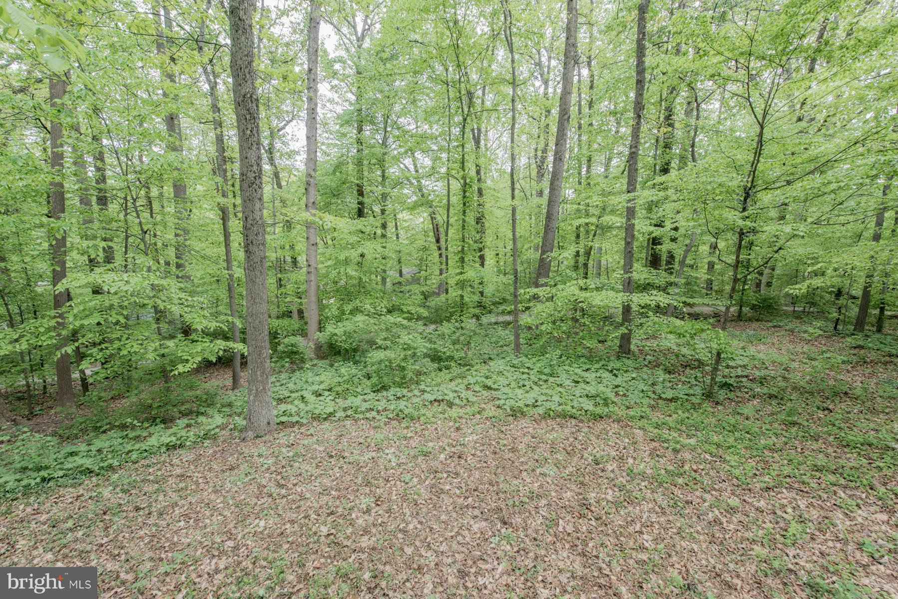 5990 Jacobs Ladder Columbia, MD 21045 - Photo 27 of 28 Yard
