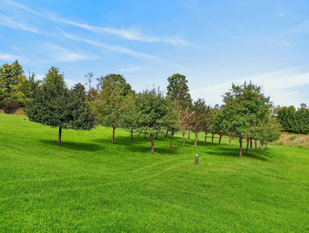 1923 Hickory Road Gillett, PA 16925 - Photo 47 of 57 Gallery Image 47
