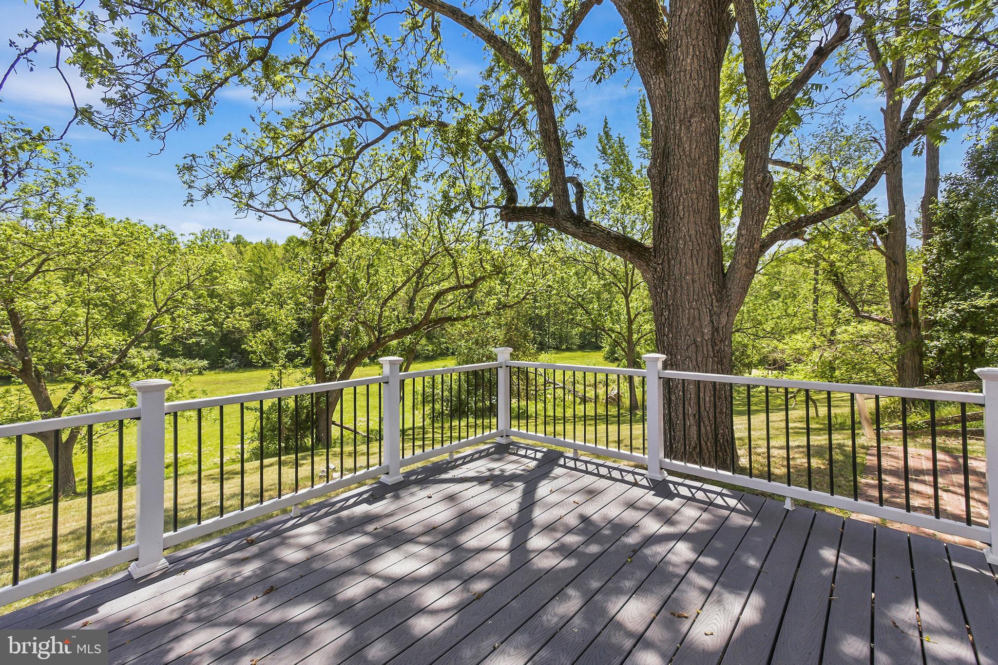 1791 Warrenton Road Fredericksburg, VA 22406 - Photo 101 of 106