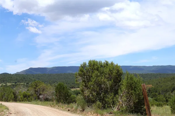 $5,000 | Lot 5 Sherwood Forrest, Torreon, NM 87061