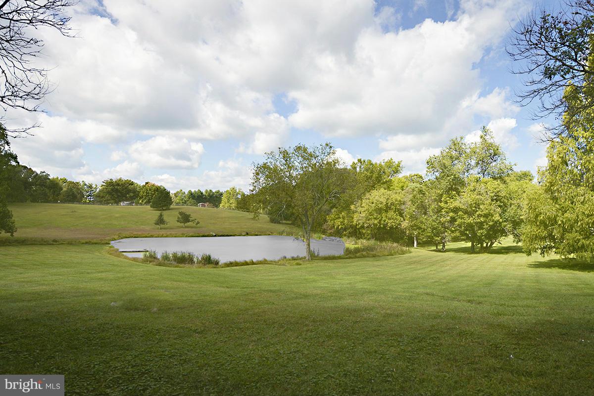 22187 Sam Fred Road Middleburg, VA 20117 - Photo 19 of 25 View