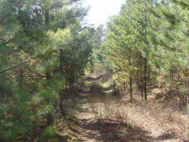 9 Camp 9 Road Minocqua, WI 54548 - Photo 5 of 17 Gallery Image 5