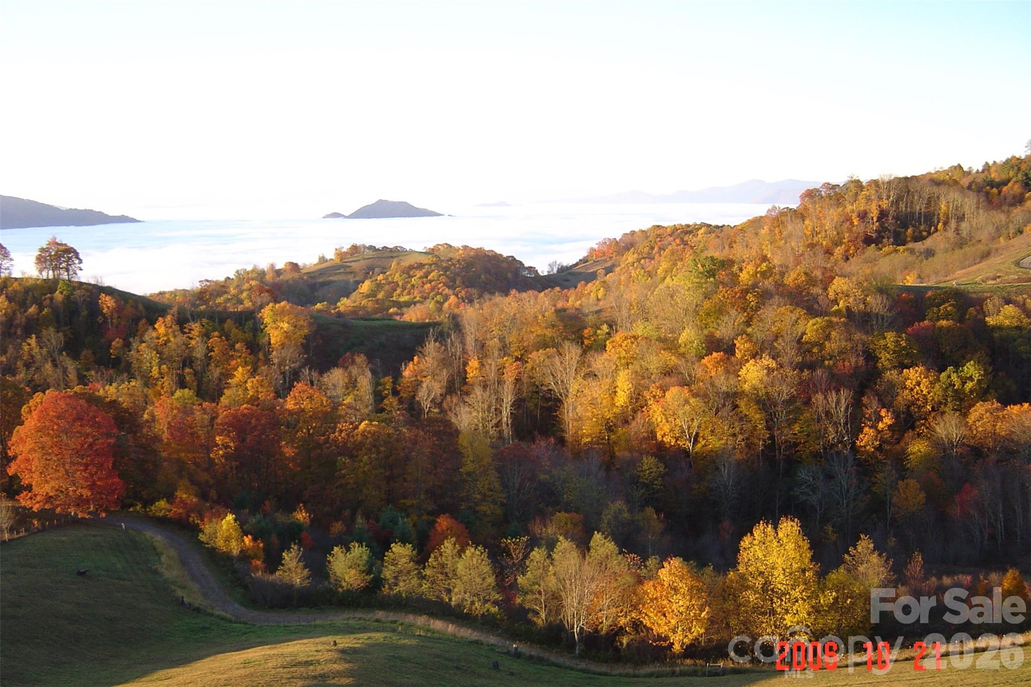 1050 Turkey Trot Road Clyde, NC 28721 - Photo 21 of 22