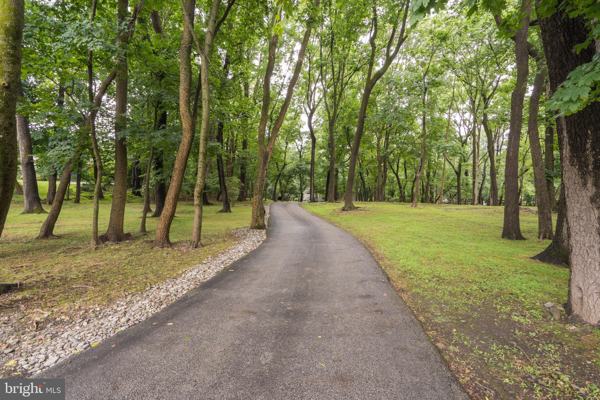 80 Fairview Road Penn Valley, PA 19072 - Photo 47 of 47 Long driveway view