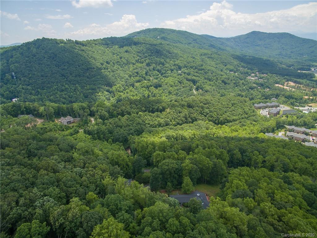 125 Winding Ridge Road Asheville, NC 28803 - Photo 4 of 46 Gallery Image 4