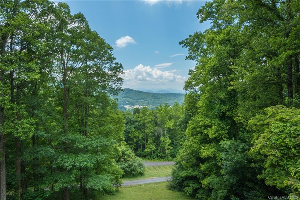 125 Winding Ridge Road Asheville, NC 28803 - Photo 45 of 46 Gallery Image 45