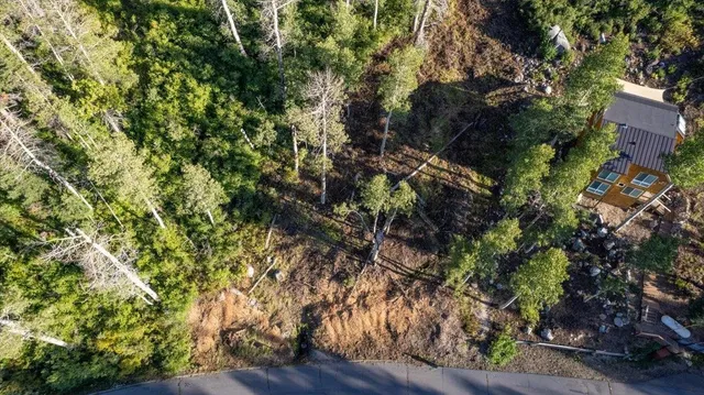 a view of a area with a tree