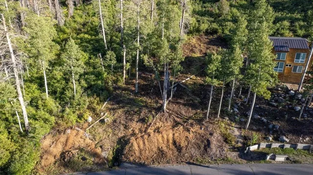 a view of an outdoor space with a tree