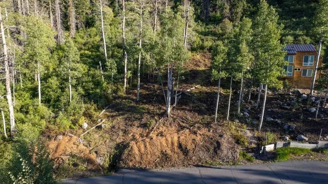 a view of a garden with plants