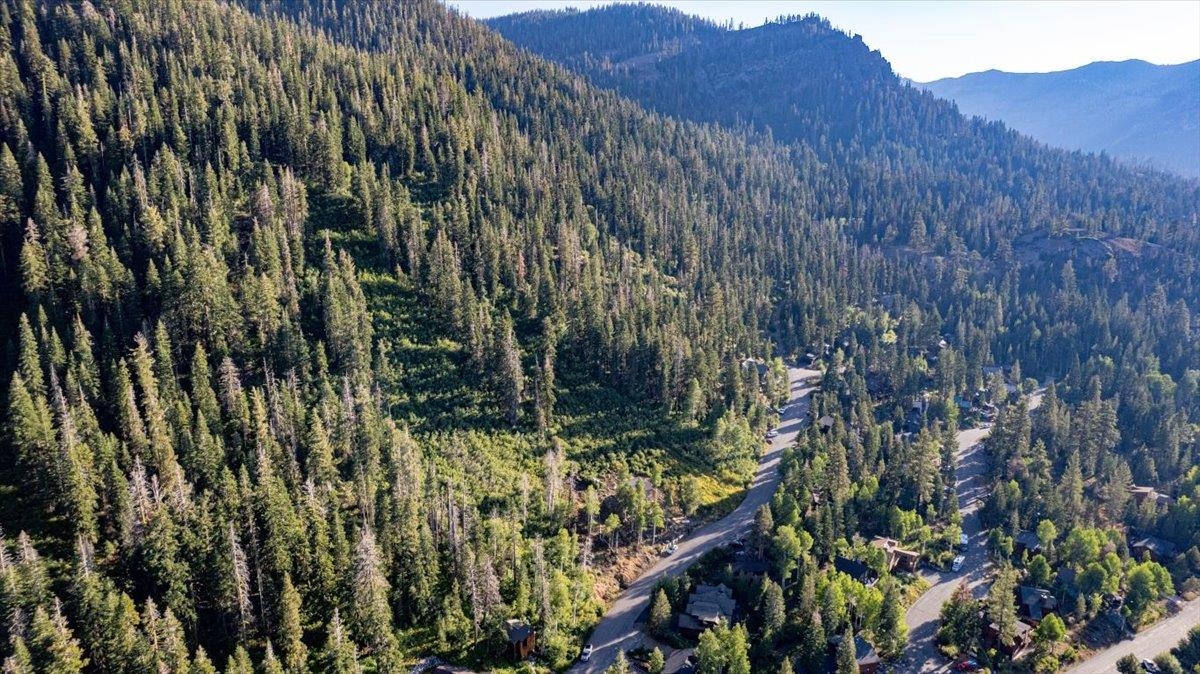 1037 Snow Crest Road Alpine Meadows, CA 96146 - Photo 14 of 18 a view of a area with a tree