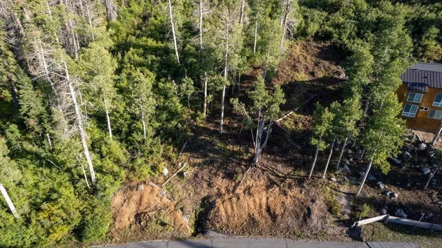 a view of a house with a backyard and a tree