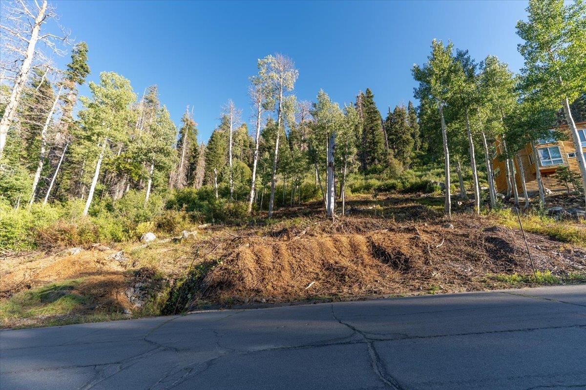 1037 Snow Crest Road Alpine Meadows, CA 96146 - Photo 3 of 18 a view of backyard with green space