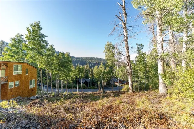 a backyard of a house with lots of green space