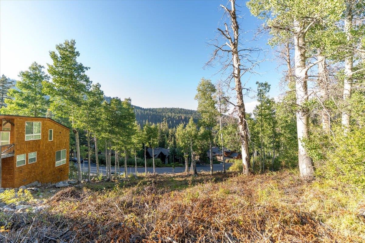 1037 Snow Crest Road Alpine Meadows, CA 96146 - Photo 5 of 18 a backyard of a house with lots of green space