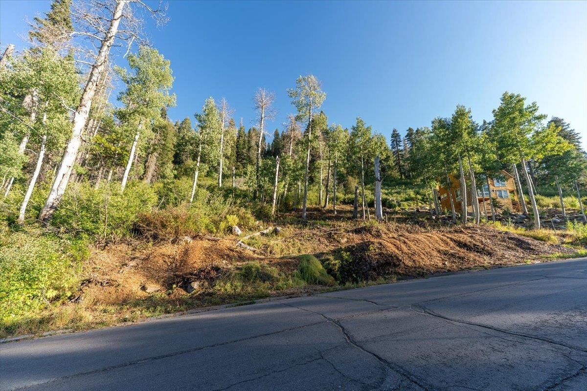 1037 Snow Crest Road Alpine Meadows, CA 96146 - Photo 9 of 18 a view of a yard