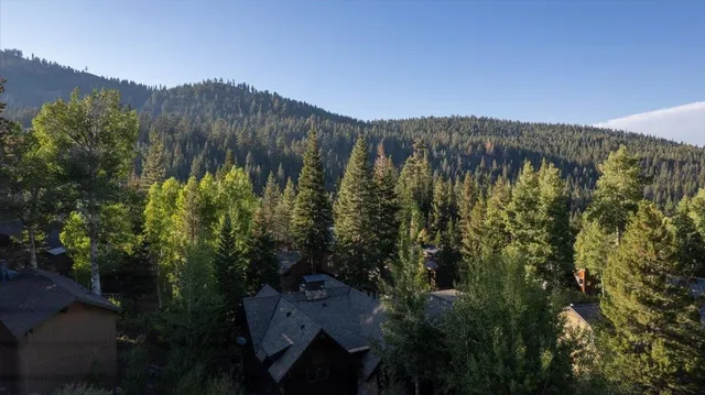 a view of backyard with green space