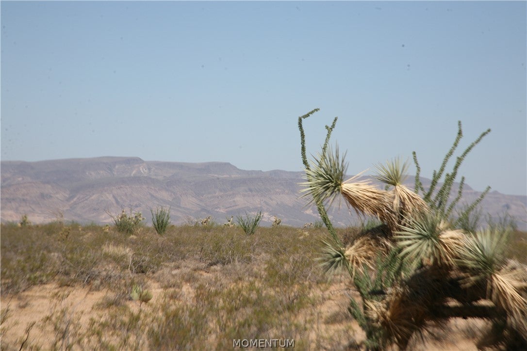 243-15-016 South Custer Road, Unit 3491 Yucca, AZ 86438 - Photo 9 of 61 Gallery Image 9
