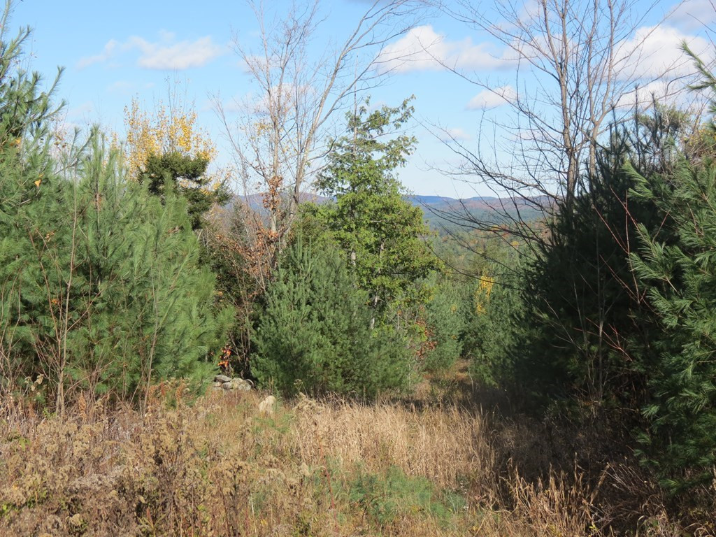 357 Upper Jay-Trumbulls Corners Road Jay, NY 12941 - Photo 3 of 10