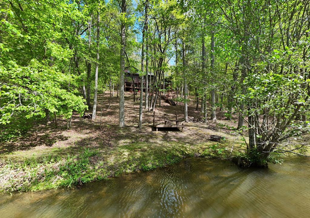 113 Sunrise Court Blue Ridge, GA 30513 - Photo 1 of 41 Main View