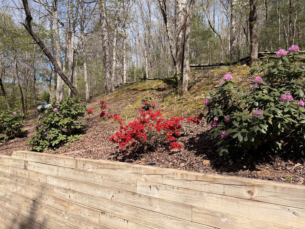 113 Sunrise Court Blue Ridge, GA 30513 - Photo 11 of 41 Gallery Image 11