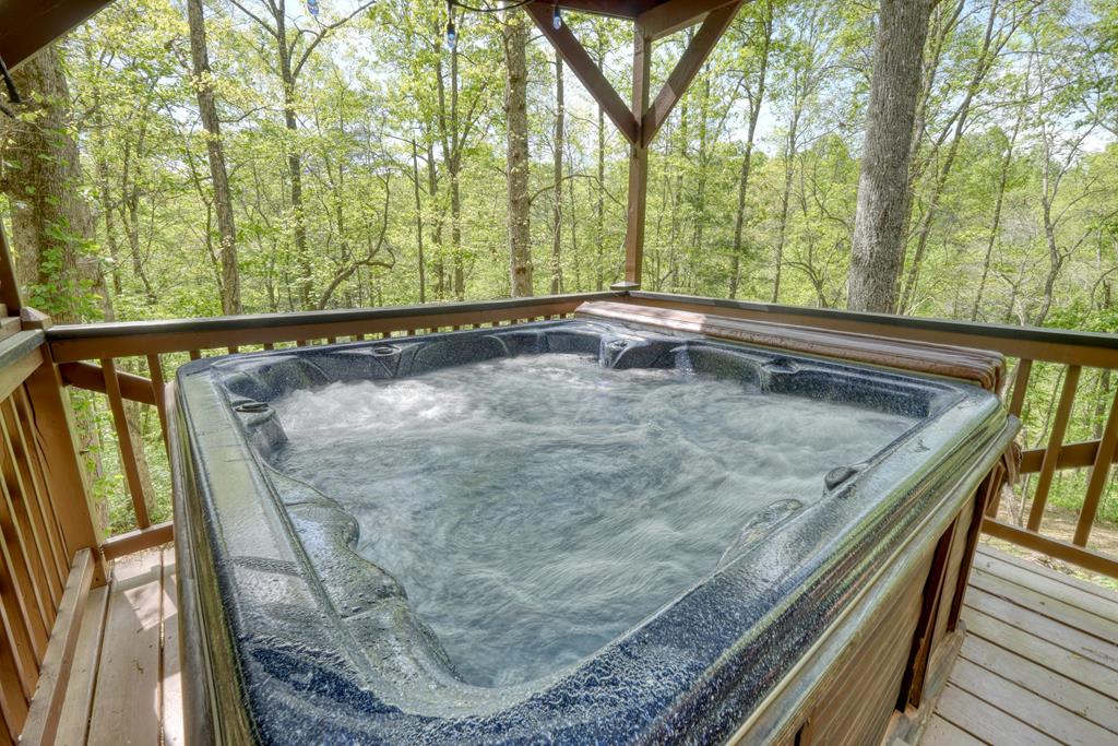 113 Sunrise Court Blue Ridge, GA 30513 - Photo 10 of 41 Gallery Image 10