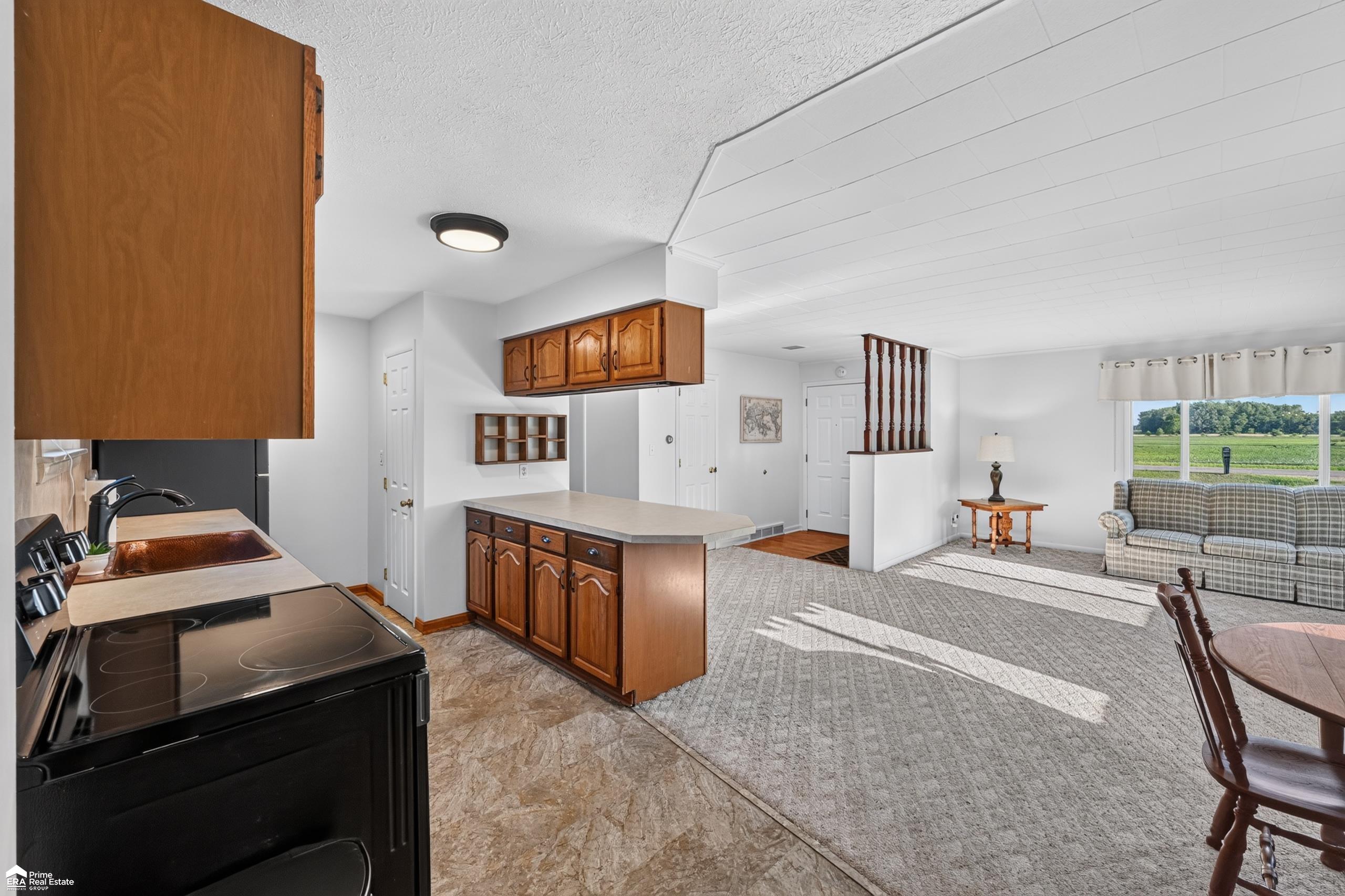 5293 Cole Road Bancroft, MI 48414 - Photo 12 of 55