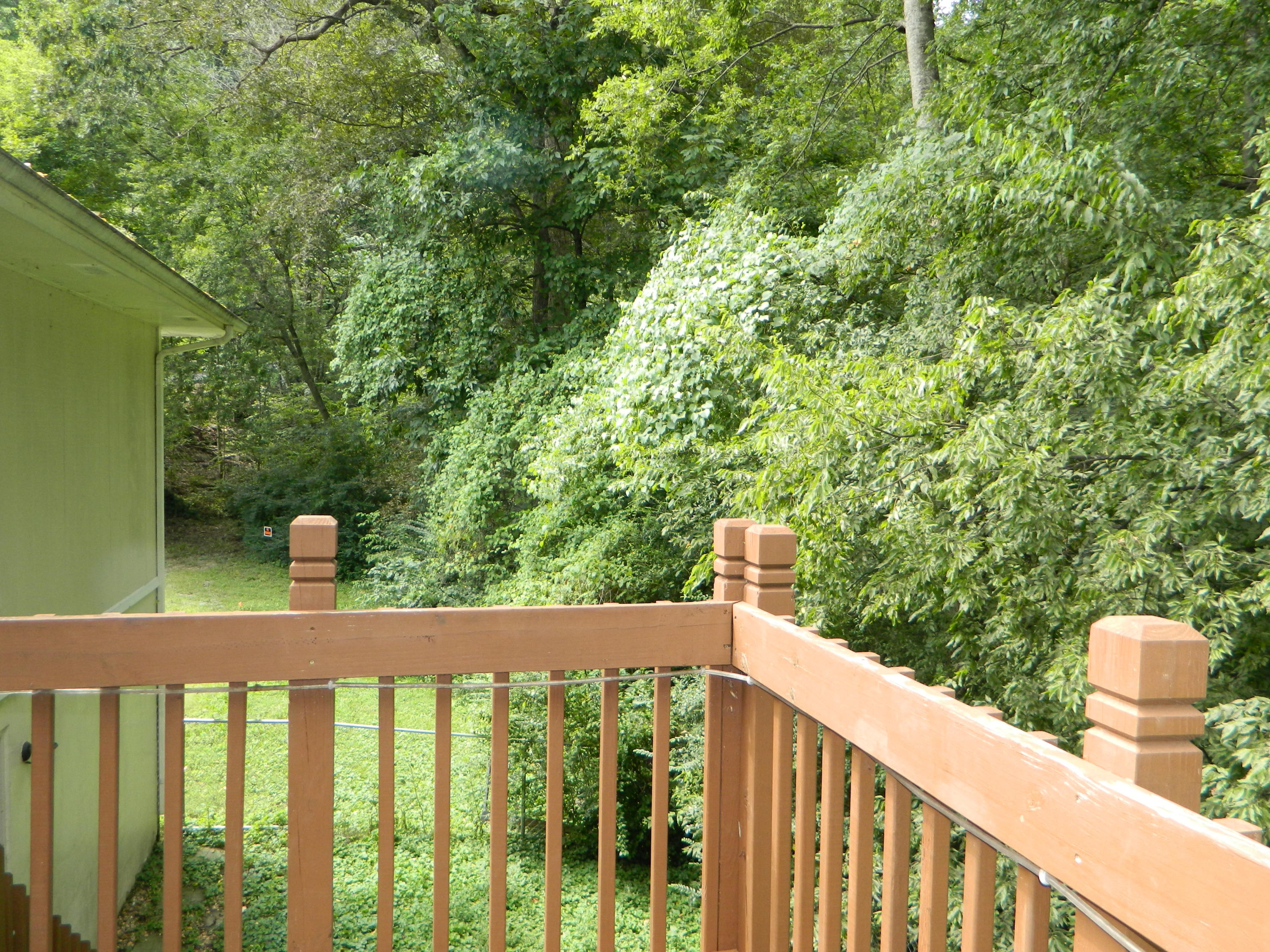 129 Belree Road Wildwood, GA 30757 - Photo 23 of 23 DSCN8546