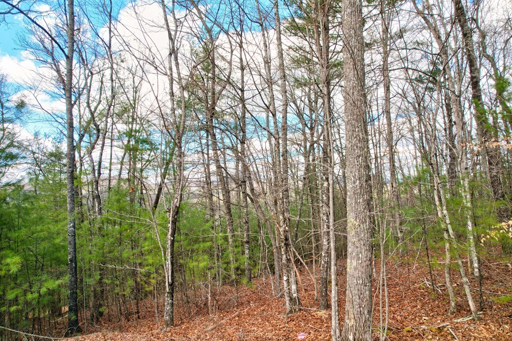 22-24 Rye Field Road Murphy, NC 28906 - Photo 13 of 26