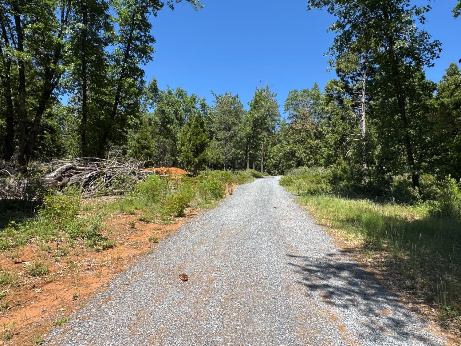 20710 Foresthill Road Foresthill, CA 95631 - Photo 12 of 12 a view of a dirt road with trees in the background