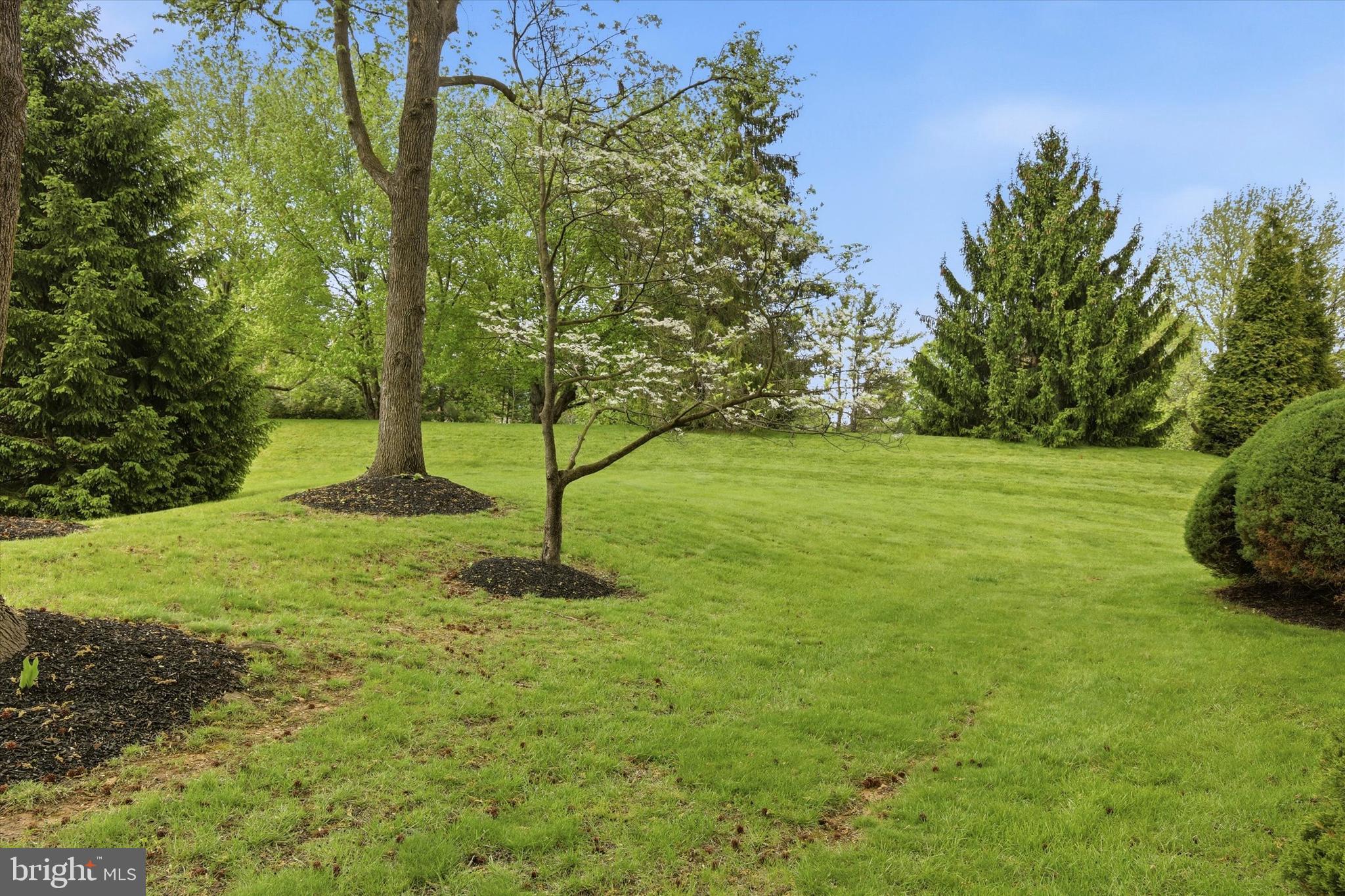 3 Windsor Circle Chesterbrook, PA 19087 - Photo 28 of 29 a view of a field with a tree
