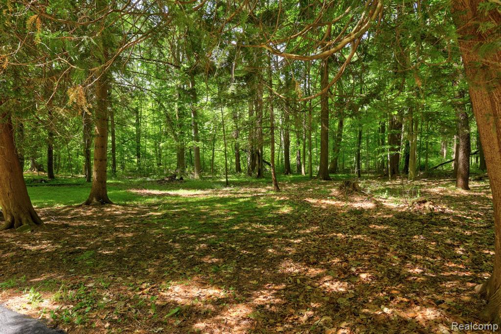 3814 South Towerline Road Bridgeport, MI 48722 - Photo 46 of 52