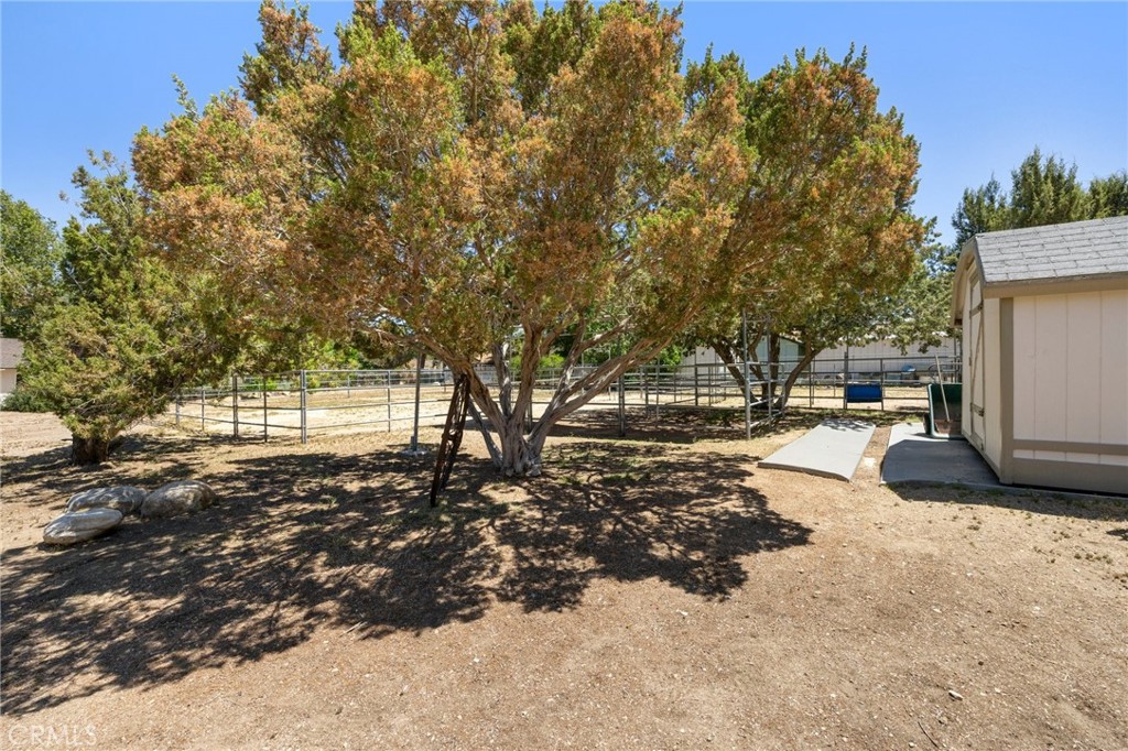 2532 Briar Glen Road Acton, CA 93510 - Photo 29 of 48 a view of a yard with a tree