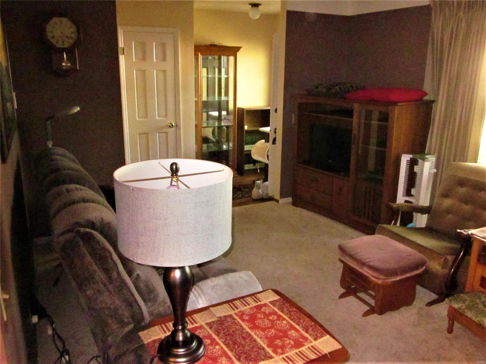 425 Stone River Road Belleville, IL 62221 - Photo 22 of 57