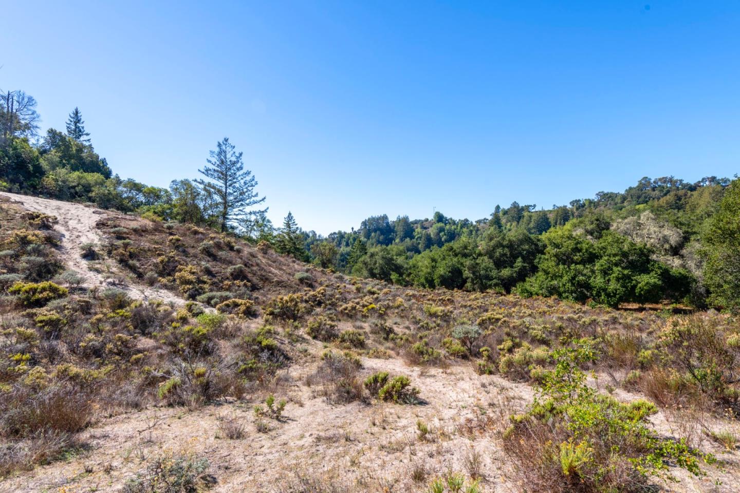 2372 Bean Creek Road Scotts Valley, CA 95066 - Photo 15 of 34 a view of a field with trees in the background
