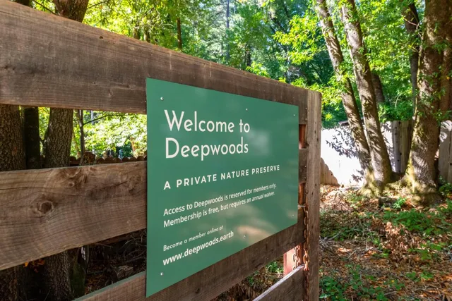 a view of a sign in a garden