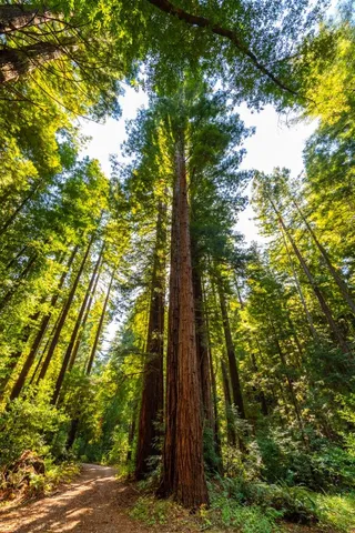 a view of a back yard