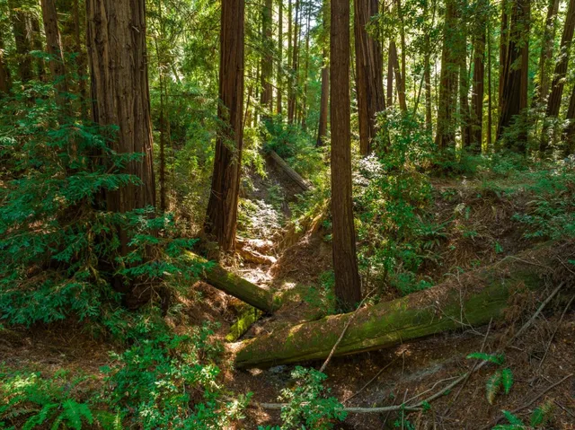 $3,900,000 | 2372 Bean Creek Road, Scotts Valley, CA 95066