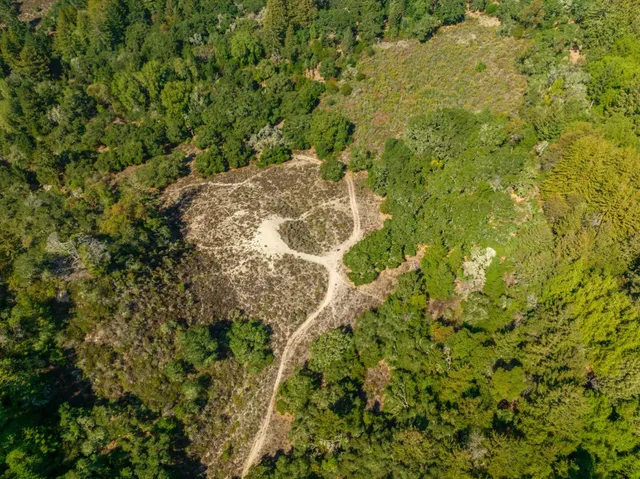 a backyard of a house with a yard and large trees