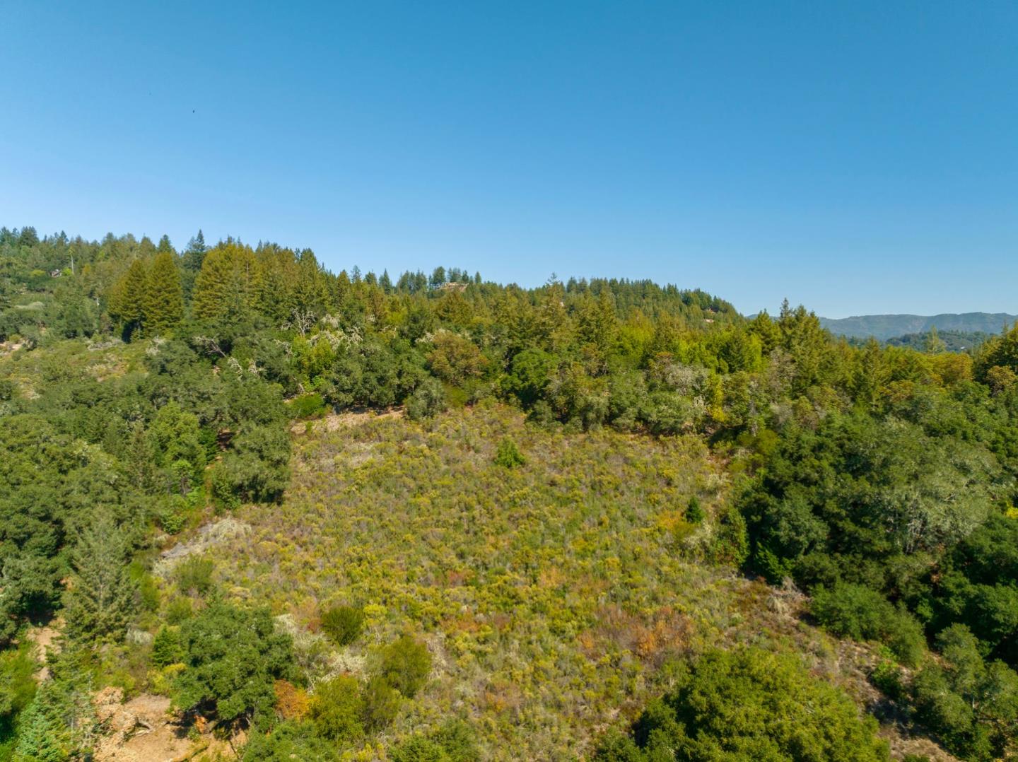 2372 Bean Creek Road Scotts Valley, CA 95066 - Photo 7 of 28 a view of a forest with a tree