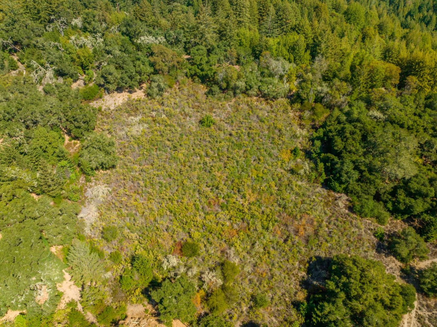 2372 Bean Creek Road Scotts Valley, CA 95066 - Photo 9 of 28 a view of a yard